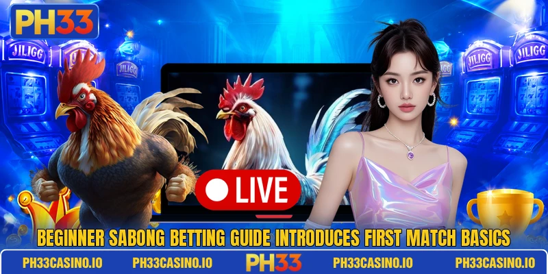 Beginner sabong betting guide introduces first match basics Beginner sabong betting guide introduces first match basics