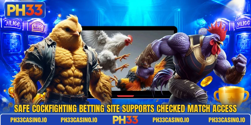 Safe cockfighting betting site supports checked match access Safe cockfighting betting site supports checked match access